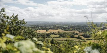 grassy fields with trees in countryside